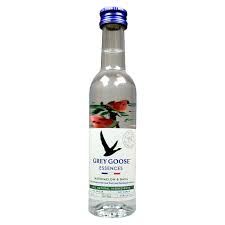Grey Goose Essences Watermelon & Basil Vodka 50ml
