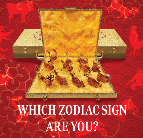 Napoleon Zodiac Gift Set X.O. Brandy 100ml Bottle Bundle 12-Pack