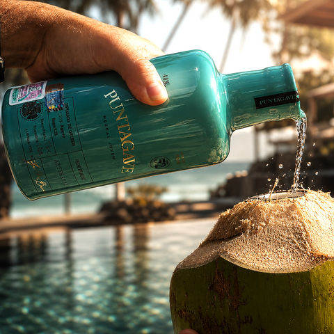 Puntagave Ceramic Joven Mezcal 750ml