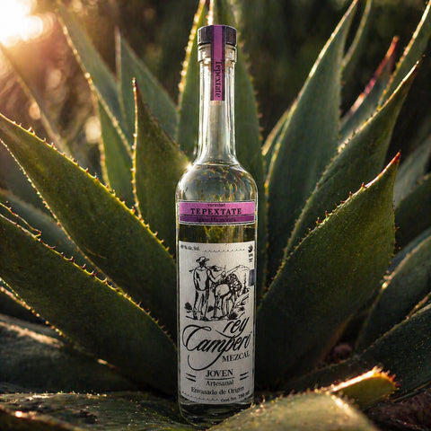 Rey Campero Tepextate Mezcal Joven 750ml